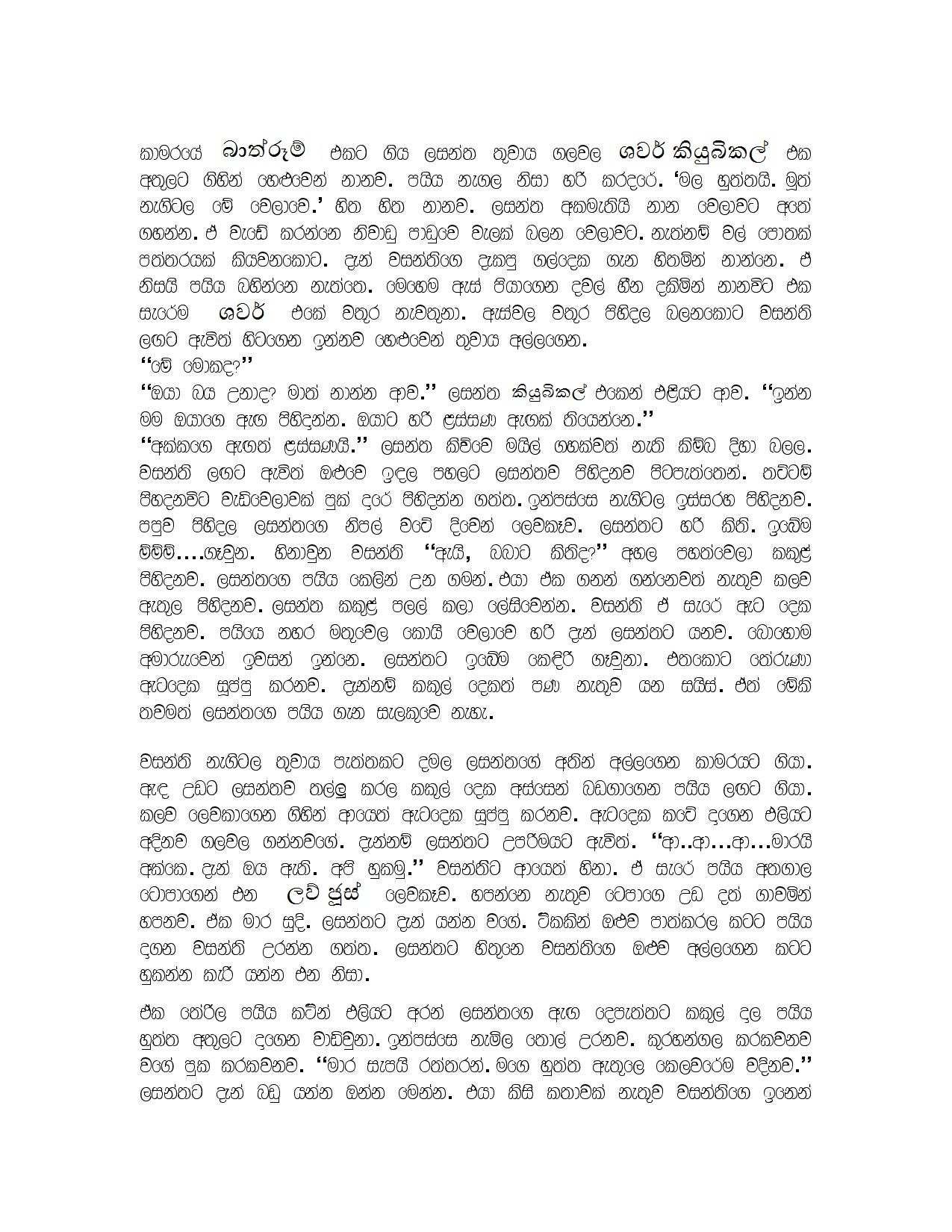 api ayeth karamuda page 002 walkatha5 Official Sinhala Wal Katha සිංහල වල් කතා